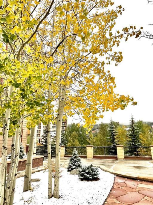 Hyatt Residence Club Main Street Station Breckenridge Exteriör bild